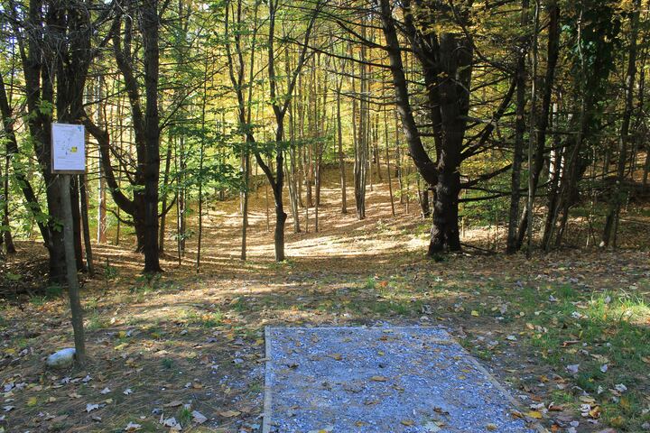 Wooded fairway with a green tee marker