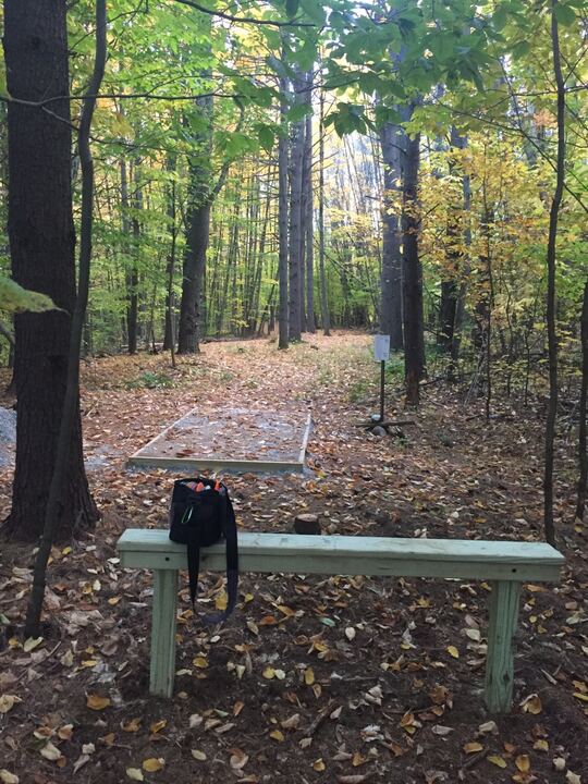 Wooden bench beside the tee on hole 17
