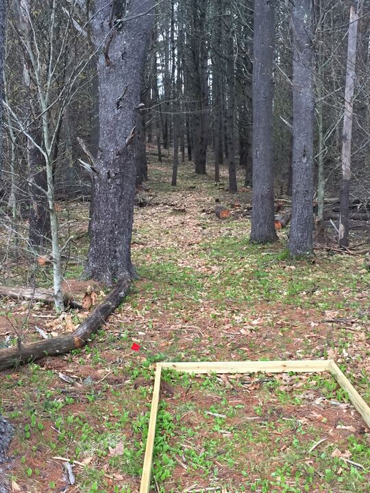 A wooded tee location marked near a sloping fairway